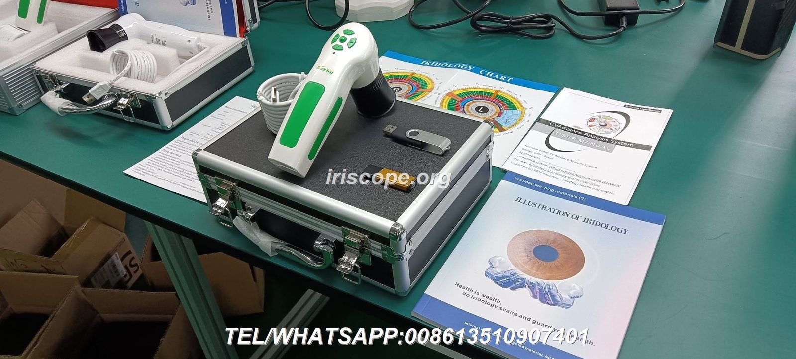 Chart Iridology 25 cam