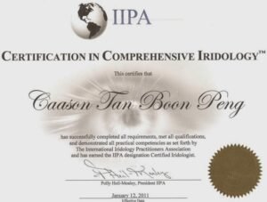 iridology certification