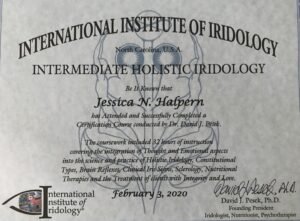 iridology certification