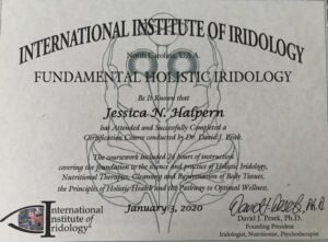 iridology certification