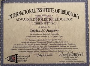 iridology certification