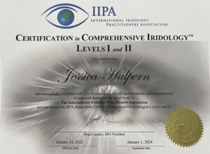 iridology certification