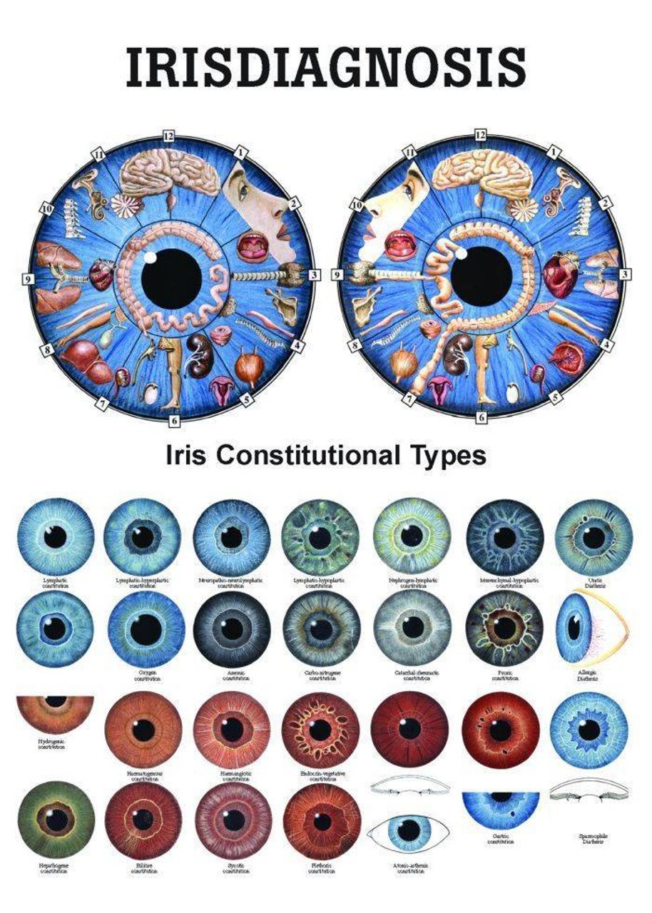 Seven Res Iridology and Health Implications
