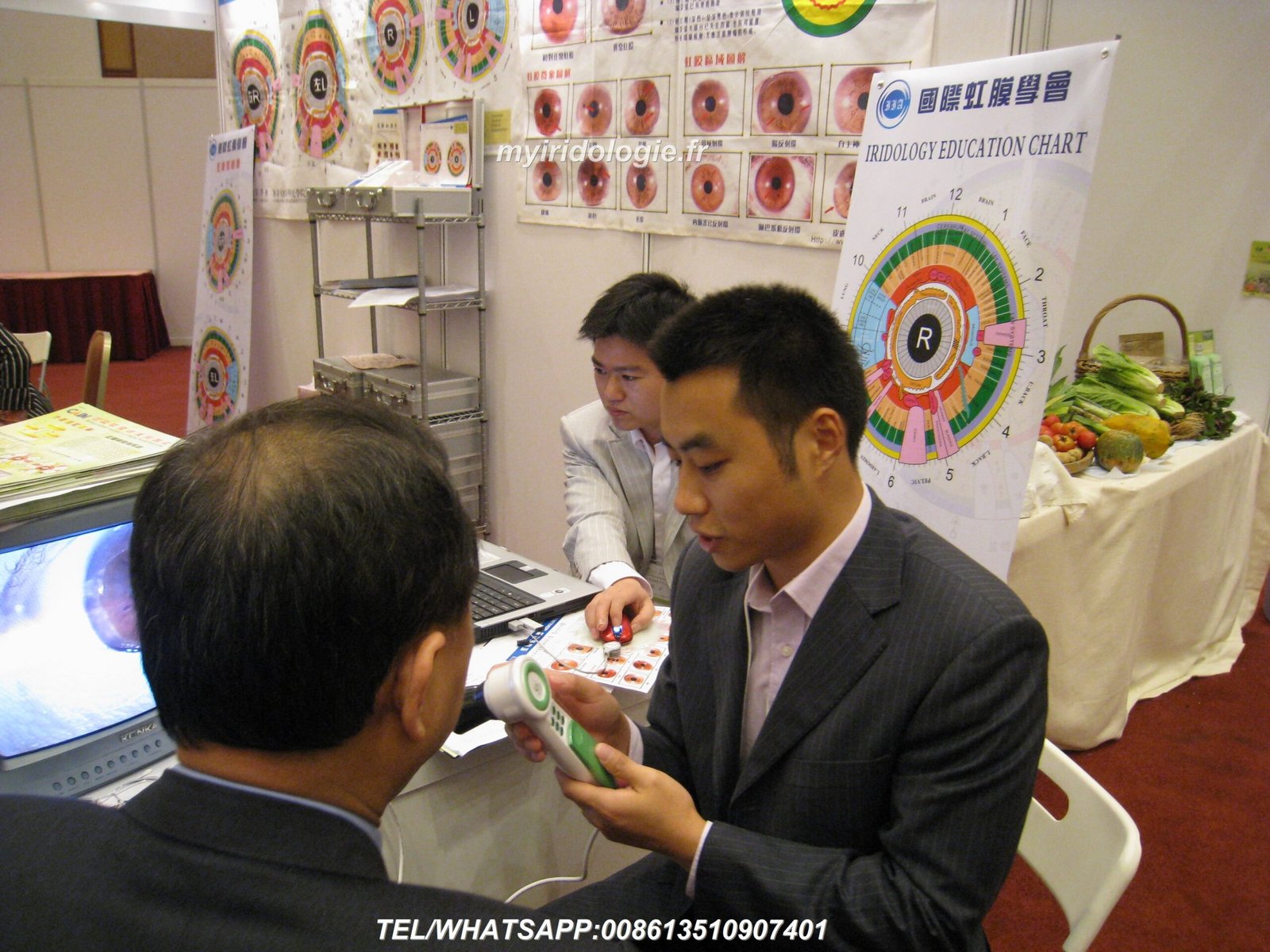 iridology software reports