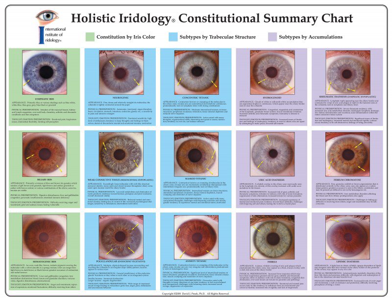 Comparación de diferentes tipos de manchas iridológicas en varios colores de iris