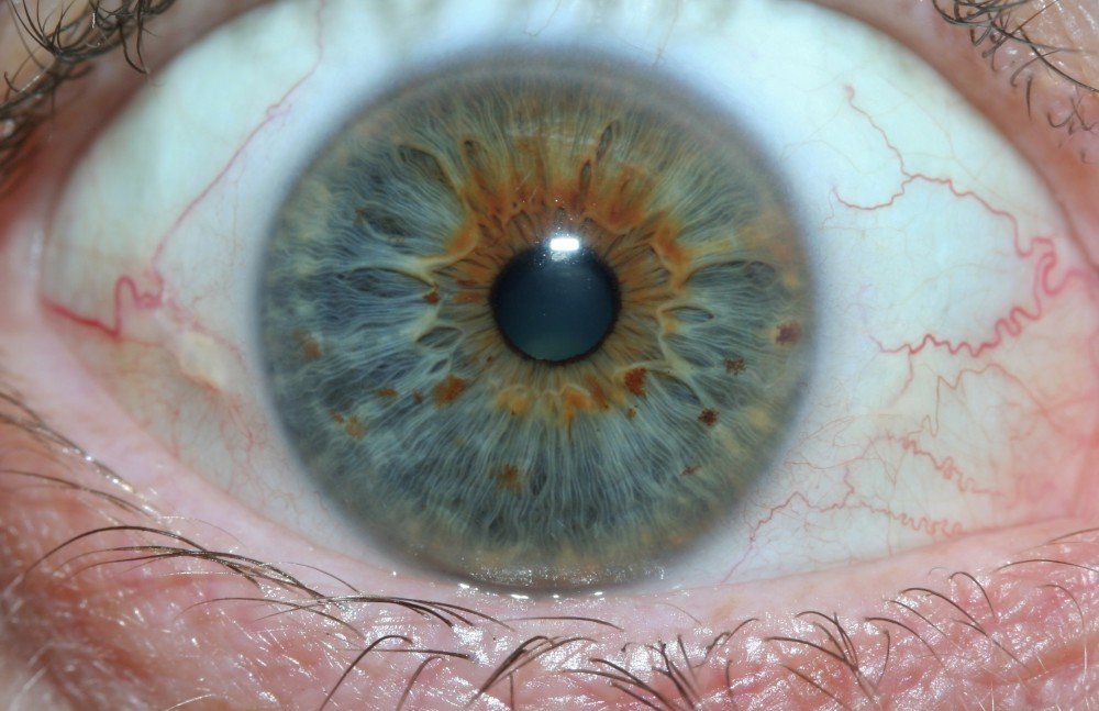 Beneficios de la Iridología: Una Guía Completa para Profesionales de la Salud 1 Vista detallada del iris humano mostrando los patrones y colores únicos utilizados en el análisis de iridología