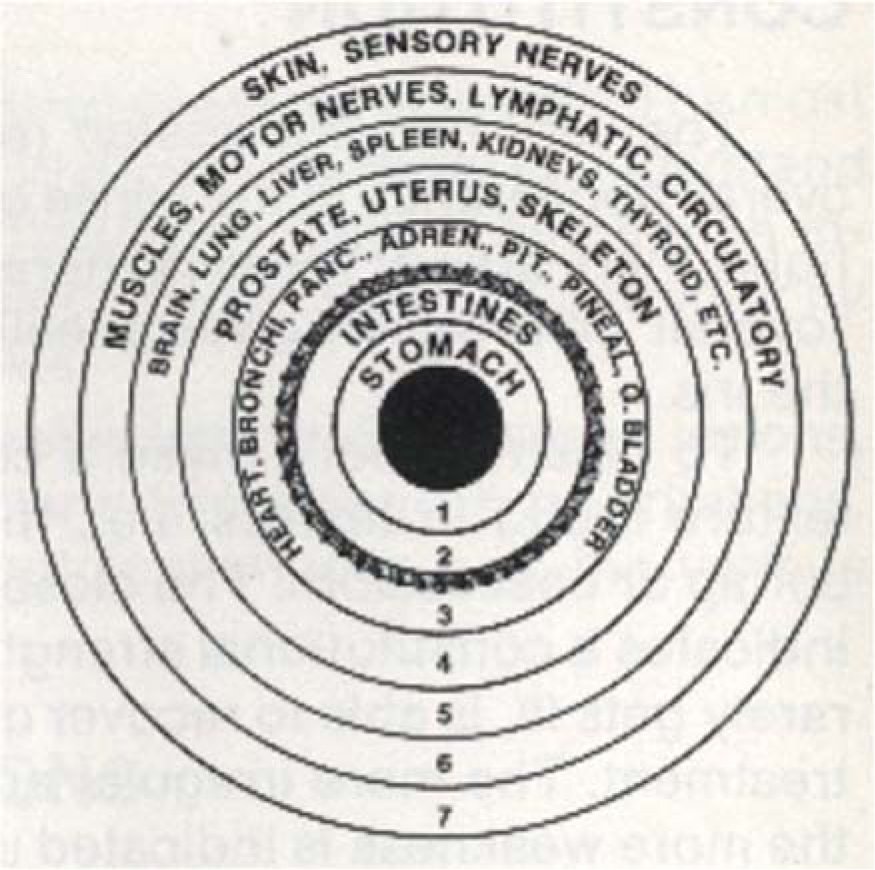 Seven Res Iridology and Health Implications