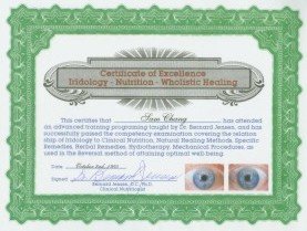iridology certification
