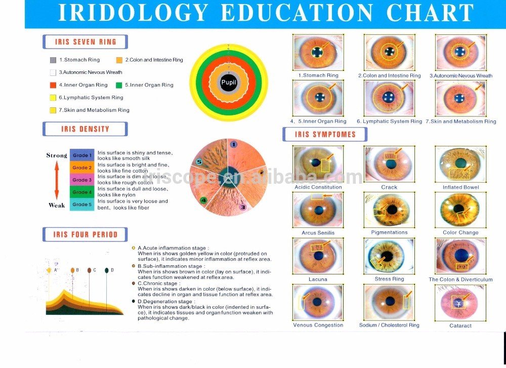 iridologia mapa