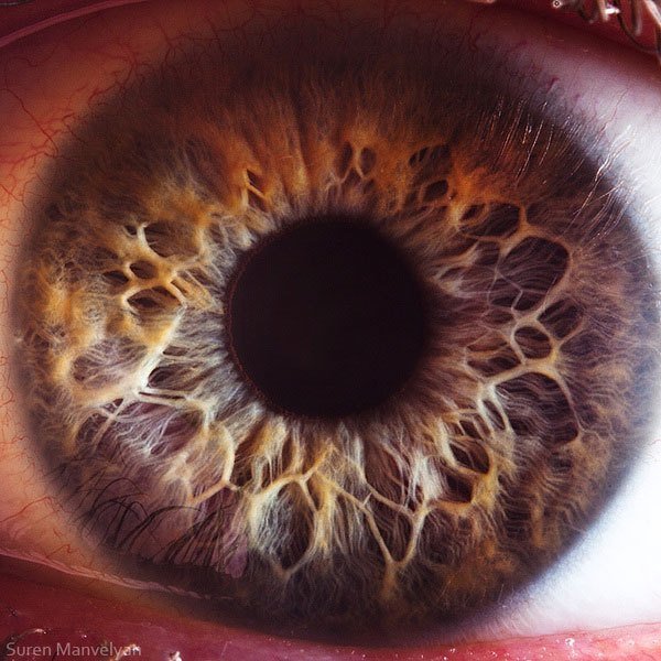 iridology brown eyes