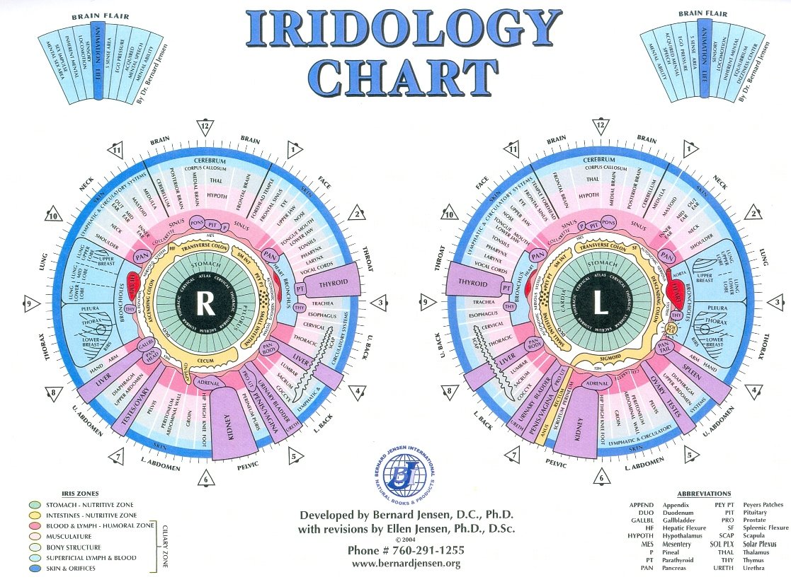 Mapa iridológico completo mostrando las zonas del iris derecho e izquierdo