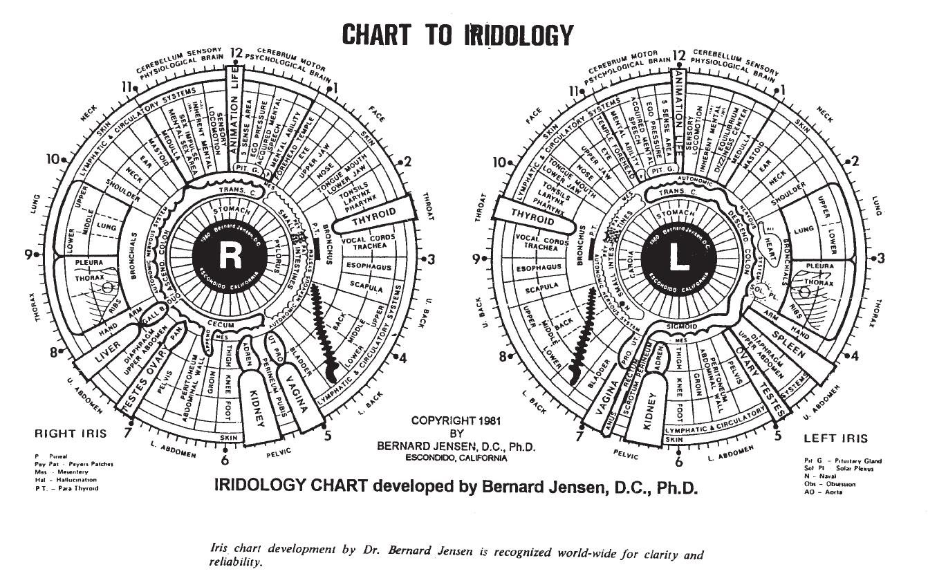 Bernard Jensen y su legado en iridologia moderna
