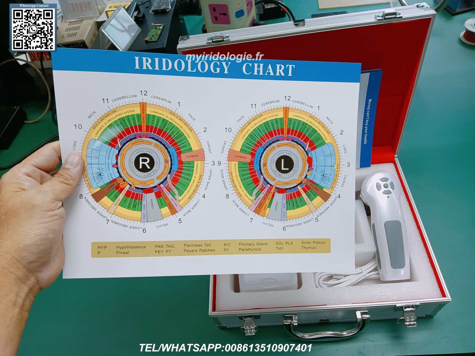 Muestras gratuitas de mapas iridologicos profesionales