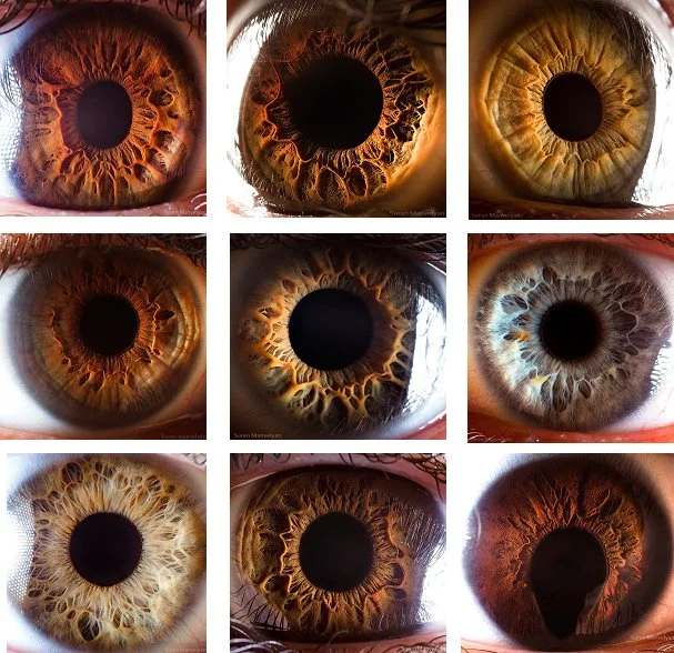 Cómo montar una estación de iridología de alta rotación en tu centro de bienestar en España — MAIKONG IRIDOLOGY CAMERA (4360).jpg