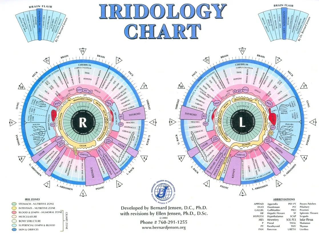 Estación fija para iridología en consulta: requisitos eléctricos y de red para instalar un iriscope — jensen iridology chart (7).jpg